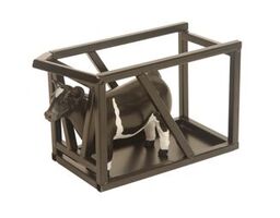 Cattle Clipping Chute