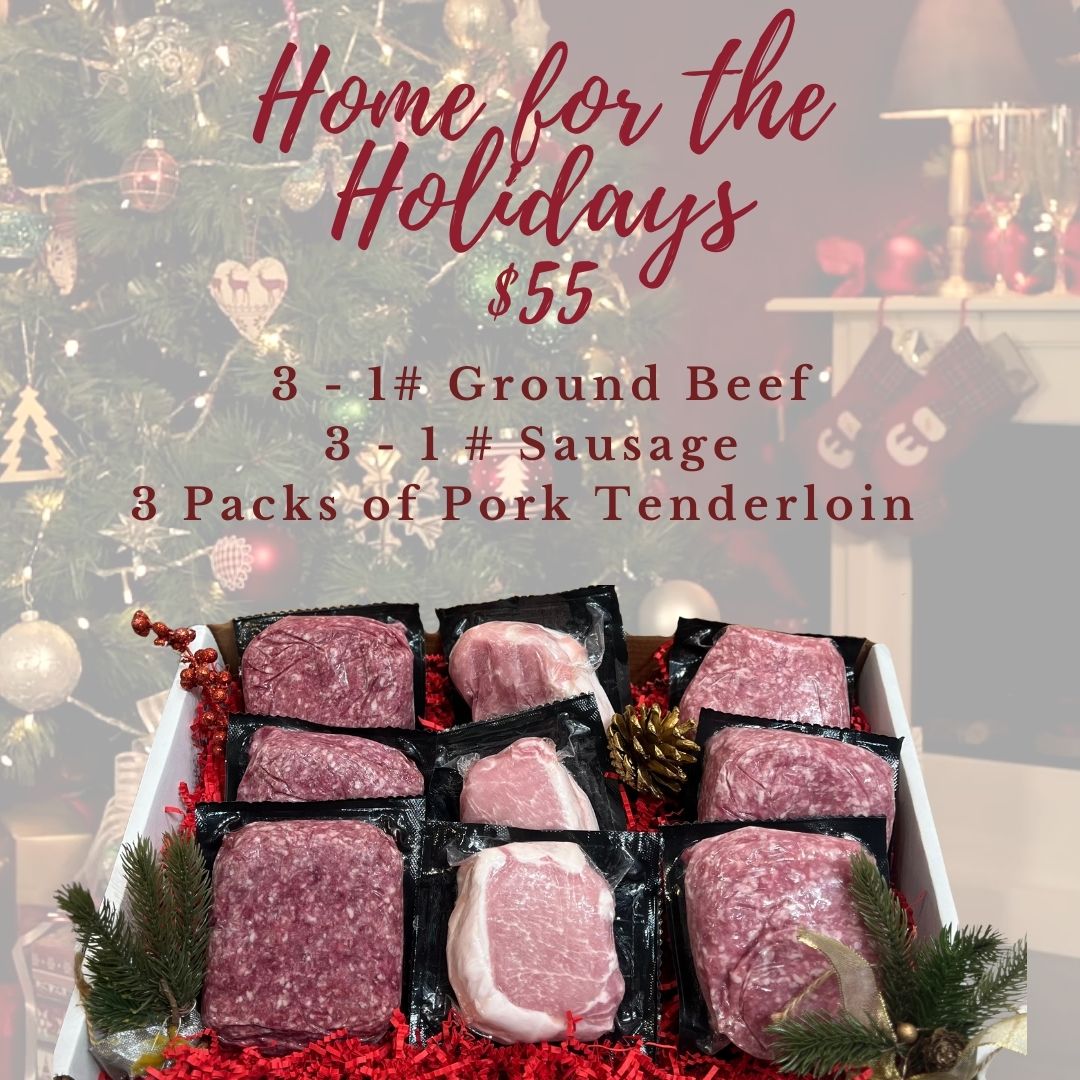 Home For the Holidays