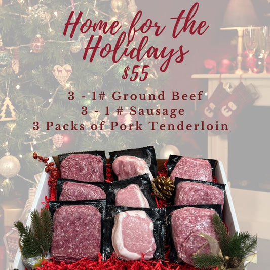 Home For the Holidays