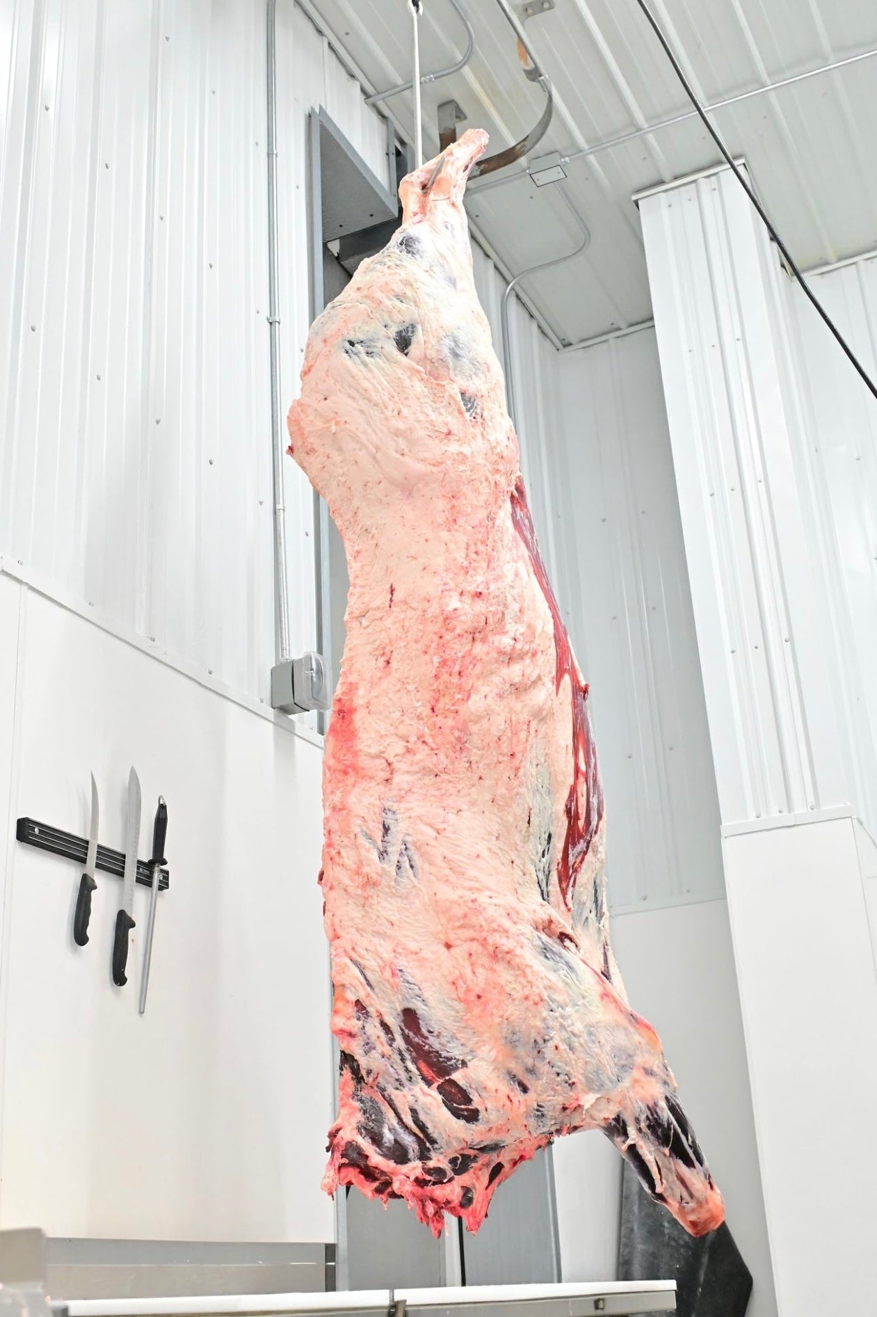 Half or Whole Beef